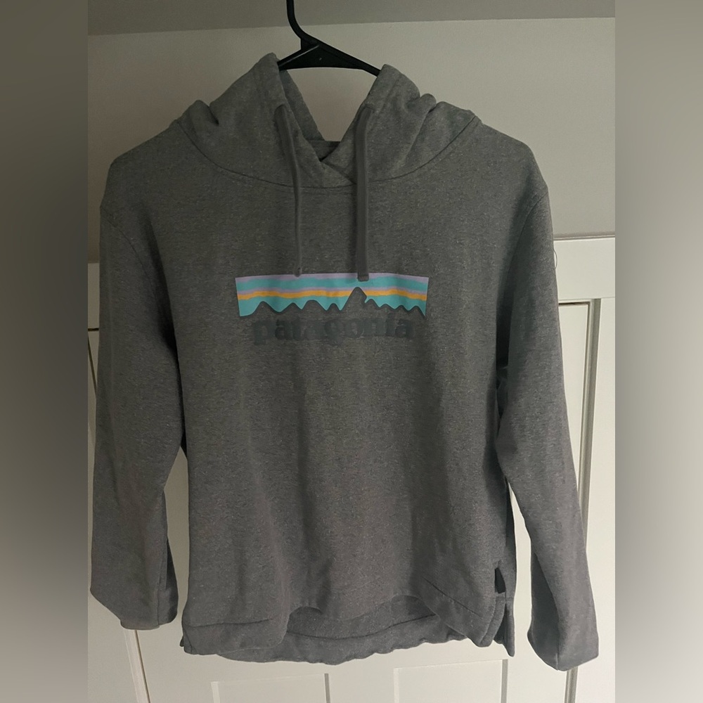 Patagonia Gray Hoodie with Logo